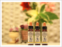 �t�����[�G�b�Z���X